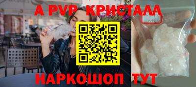 стафф Краснознаменск
