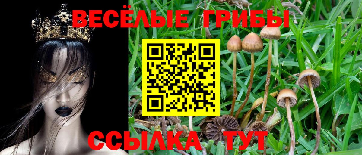 Киселёвск  Псилоцибиновые грибы GOLDEN TEACHER  Вход с VPN 