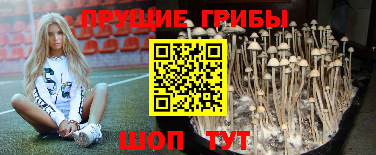 Псилоцибиновые грибы Magic Shrooms Киселёвск