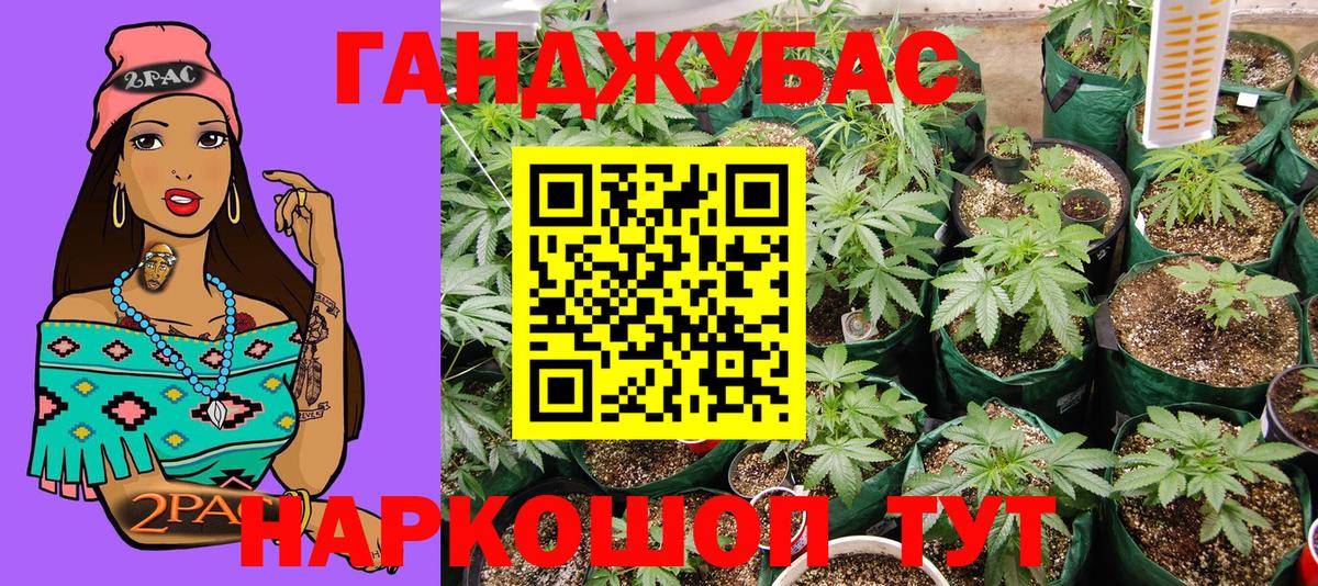Марихуана White Widow  Вход с VPN  Шишки марихуана план  Киселёвск  Шишки марихуана планчик  Канабис индика 